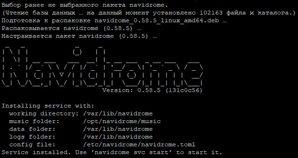 Окончание установки Navidrome на Ubuntu 24.04